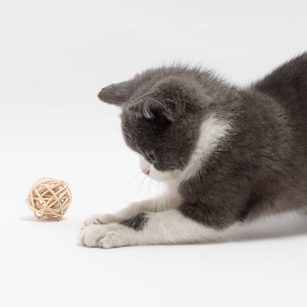 Duo de balles en rotin pour chat