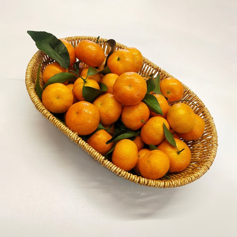 Panier de rangement de cuisine, oval, imitation rotin