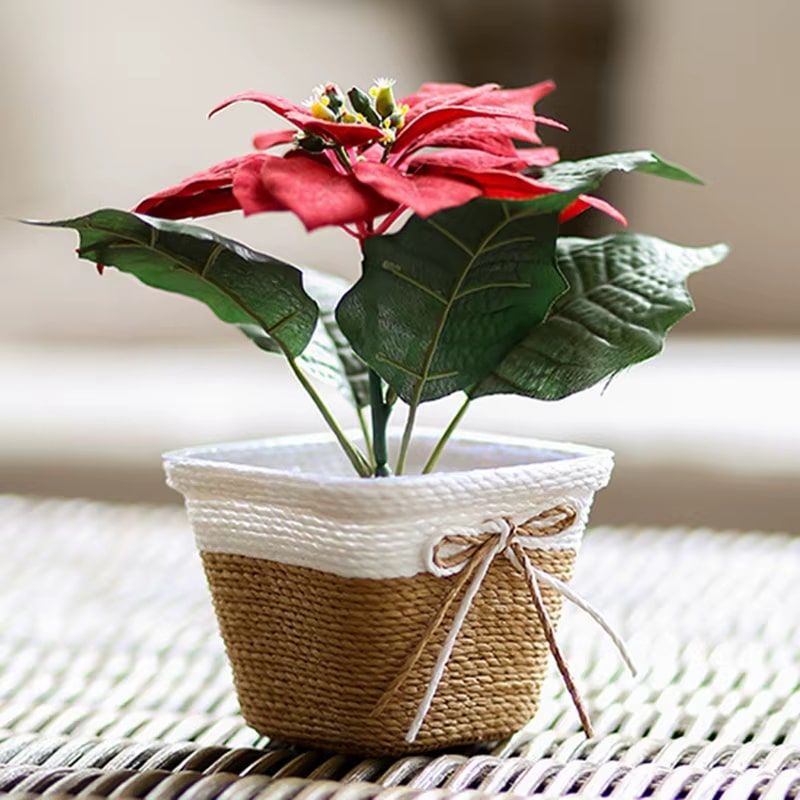 Pot de Fleur Carré en Rotin