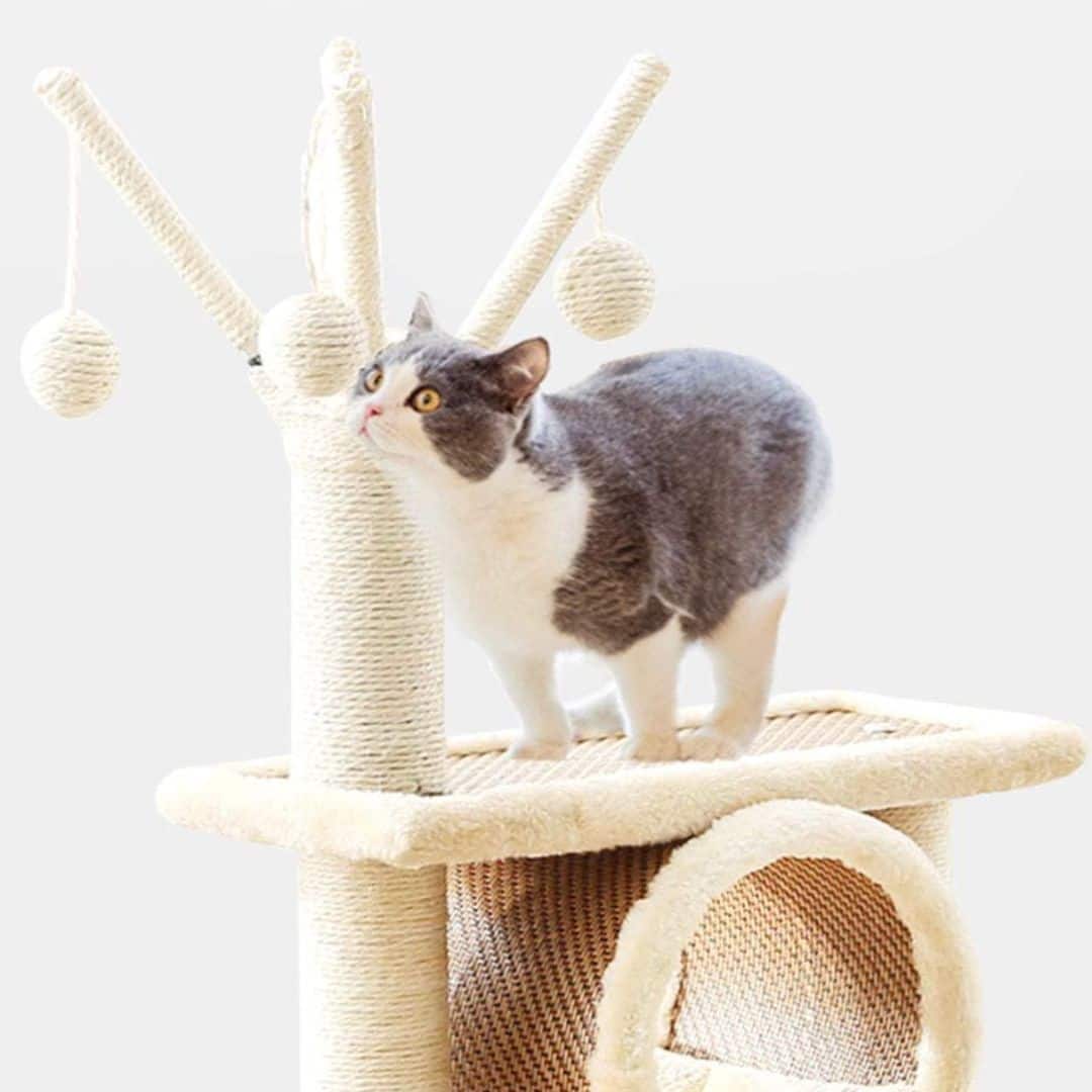 Tour à chat rotin et polaire
