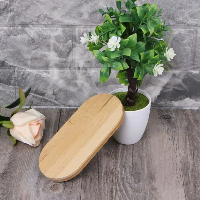Assiette Bambou de Forme Ovale