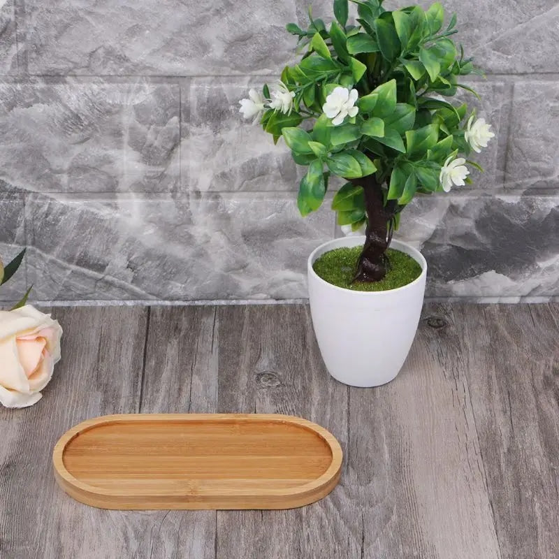 Assiette Bambou de Forme Ovale