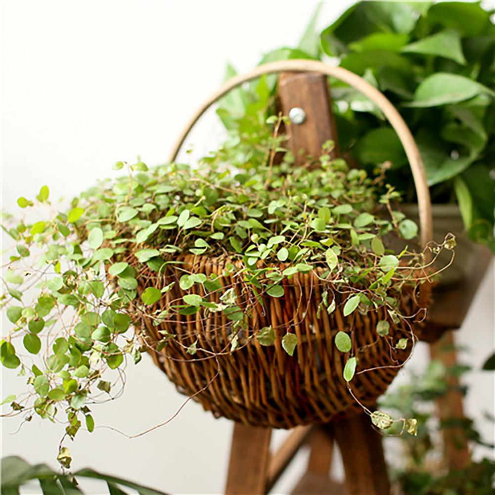 Corbeille pour plantes suspendues en rotin