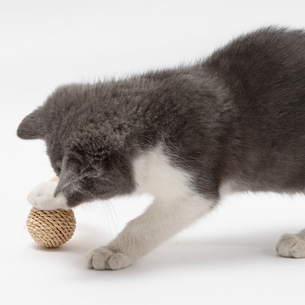 Duo de balles en rotin pour chat
