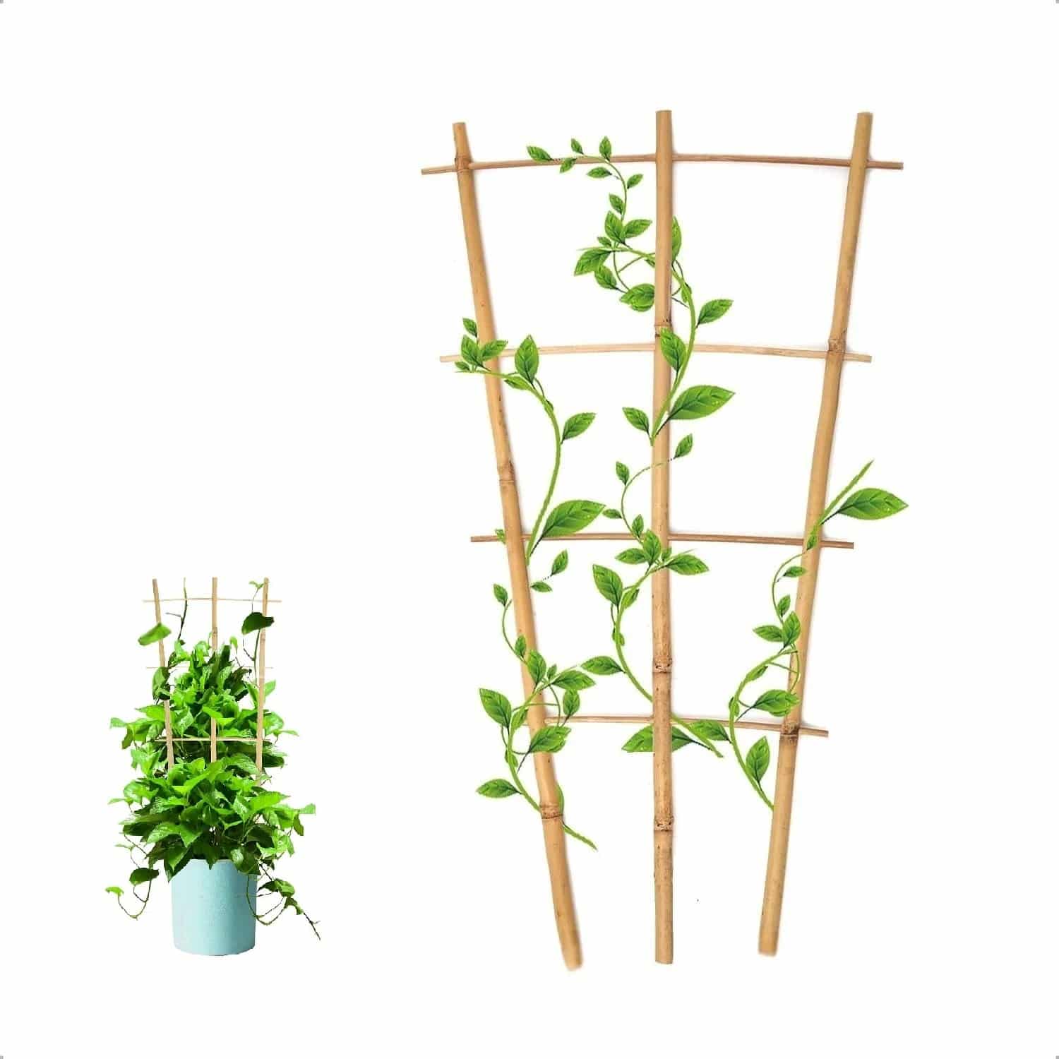 Échelle Bambou pour Décoration de Plantes