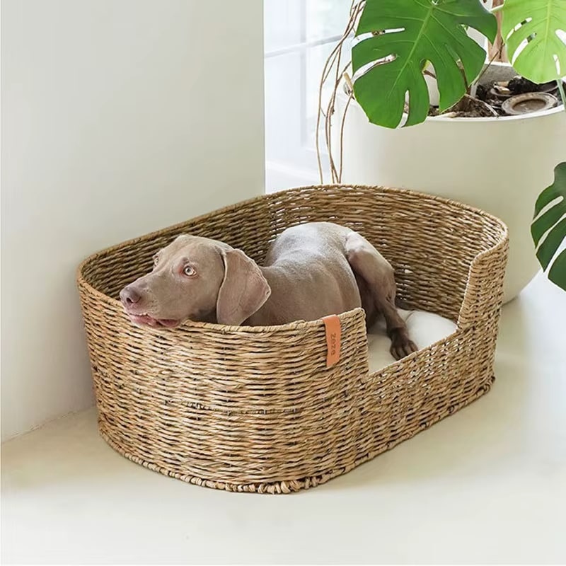 Panier Chien Osier Confortable et Spacieux