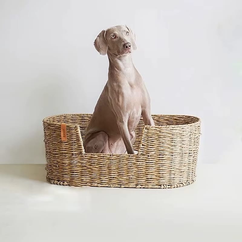 Panier Chien Osier Confortable et Spacieux