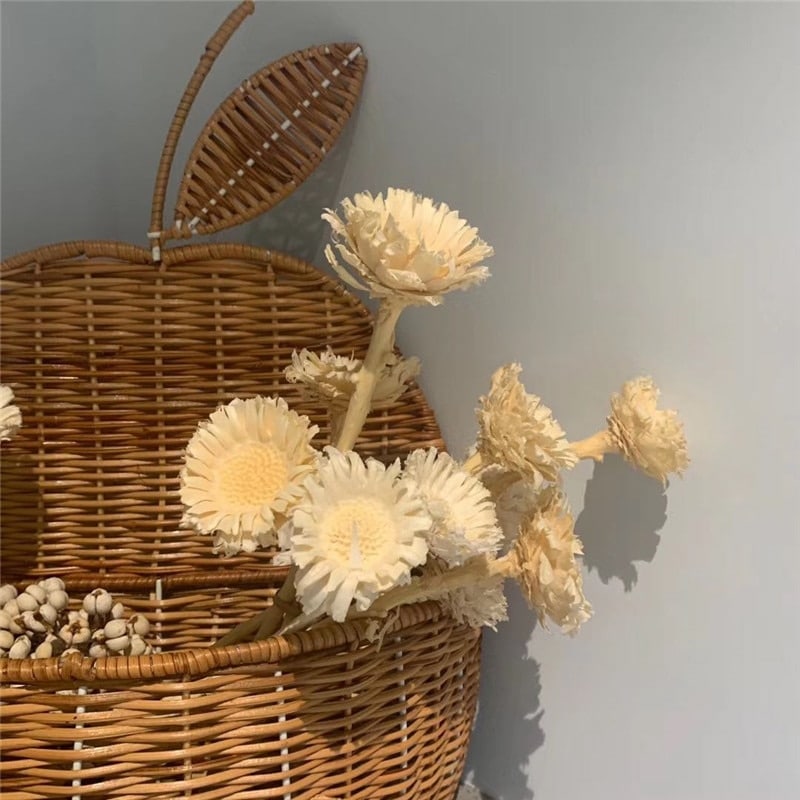 Panier de rangement en rotin Vintage en forme de pomme pour bébé