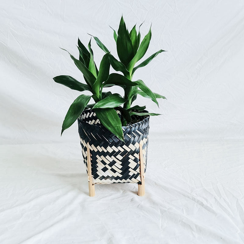 Porte plante en rotin tissé à la main